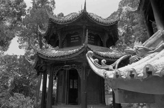 Pagoda and Dragon - China